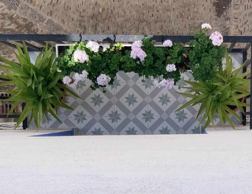 Casa Terrae Casco Antiguo Wifiaa Apartment Peñíscola Екстериор снимка